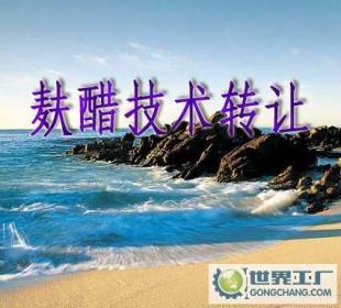 麩醋配方轉讓與生產技術轉讓，工廠交匙工程及認證咨詢服務