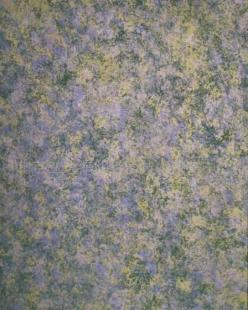 供應新型環保建材防蟲滅蚊蠅涂料技術轉讓