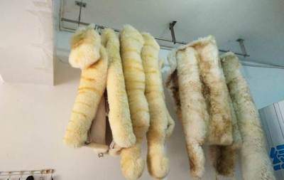 專業清洗汽車坐墊技術轉讓 陽泉車載產品技術轉讓方案